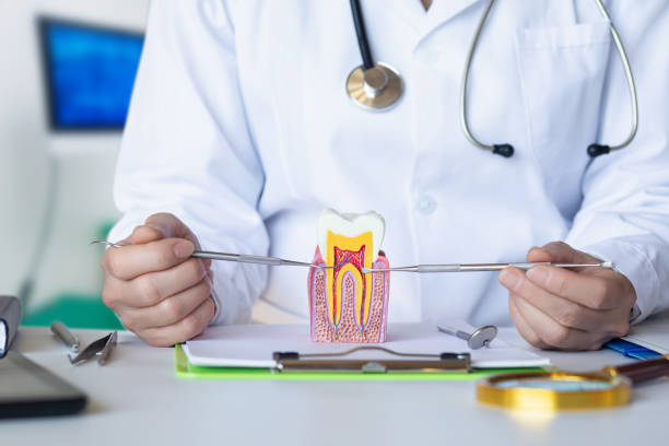 Best Emergency Dentist for Lost Fillings or Crowns in Rantoul, IL